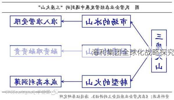 海利集团全球化战略探究