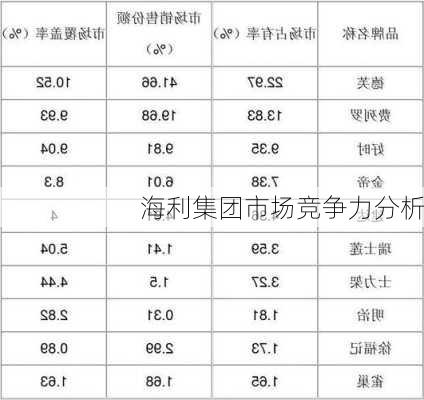 海利集团市场竞争力分析