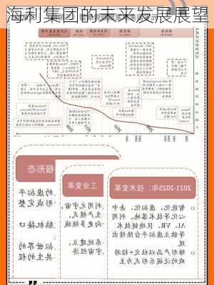 海利集团的未来发展展望