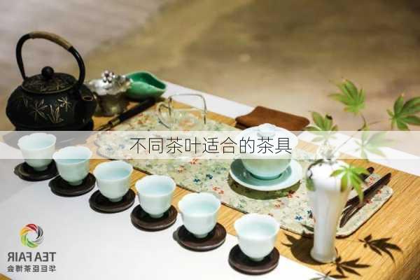 不同茶叶适合的茶具