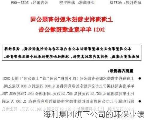 海利集团旗下公司的环保业绩