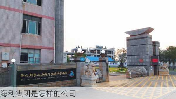 海利集团是怎样的公司