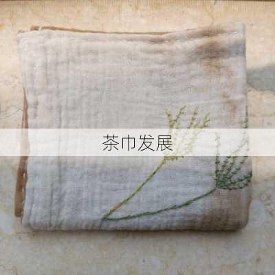 茶巾发展