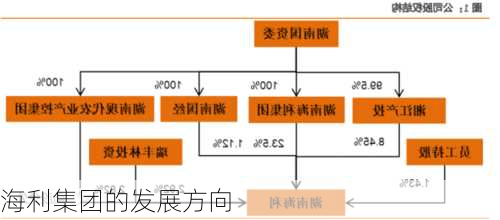 海利集团的发展方向