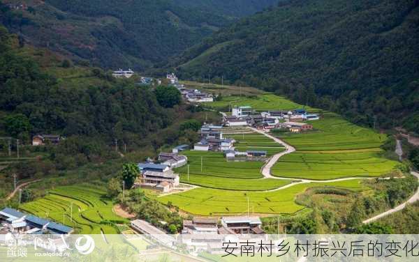 安南村乡村振兴后的变化
