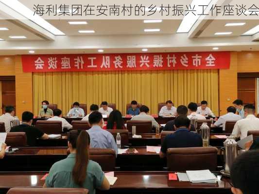 海利集团在安南村的乡村振兴工作座谈会