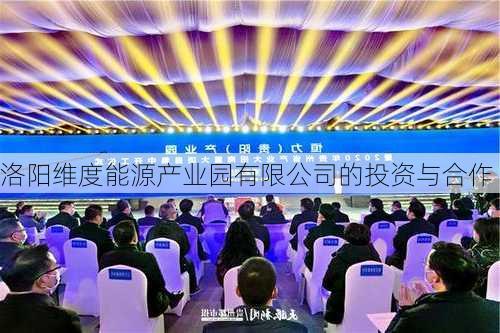 洛阳维度能源产业园有限公司的投资与合作