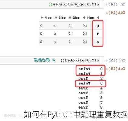 如何在Python中处理重复数据