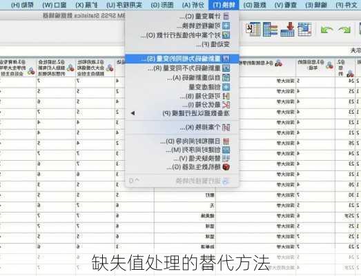 缺失值处理的替代方法
