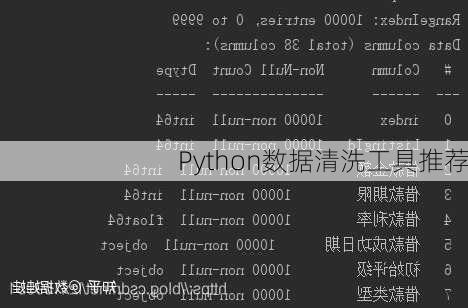 Python数据清洗工具推荐