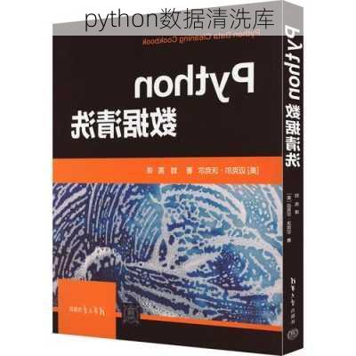 python数据清洗库