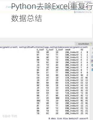 Python去除Excel重复行数据总结