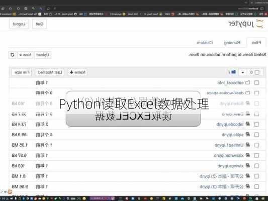 Python读取Excel数据处理