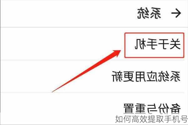 如何高效提取手机号
