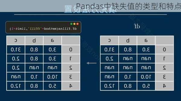 Pandas中缺失值的类型和特点