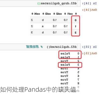 如何处理Pandas中的缺失值