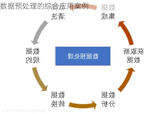 数据预处理的综合应用案例