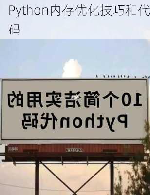 Python内存优化技巧和代码
