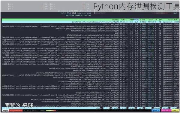 Python内存泄漏检测工具