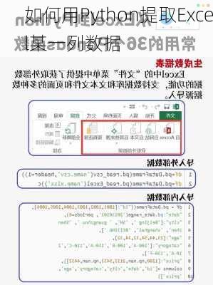 如何用Python提取Excel某一列数据