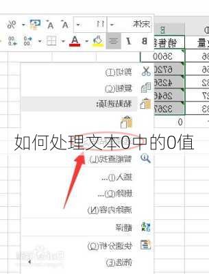 如何处理文本0中的0值