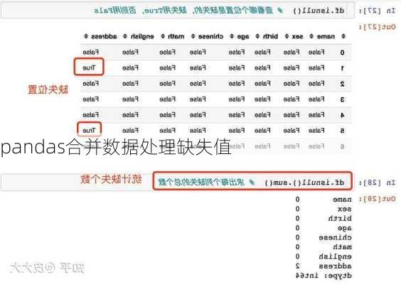 pandas合并数据处理缺失值