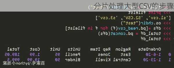 分片处理大型CSV的步骤