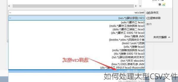 如何处理大型CSV文件