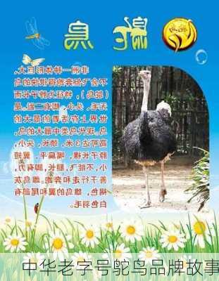 中华老字号鸵鸟品牌故事