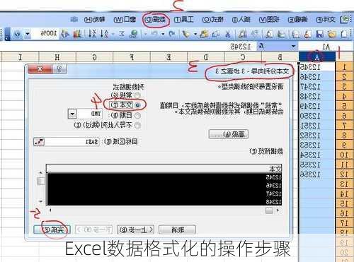 Excel数据格式化的操作步骤