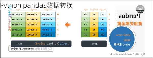 Python pandas数据转换