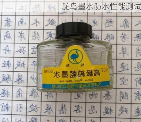 鸵鸟墨水防水性能测试