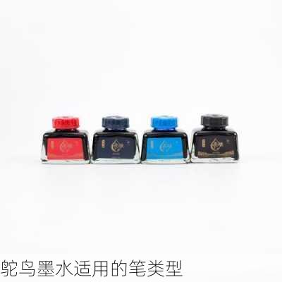 鸵鸟墨水适用的笔类型