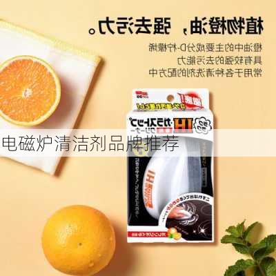 电磁炉清洁剂品牌推荐