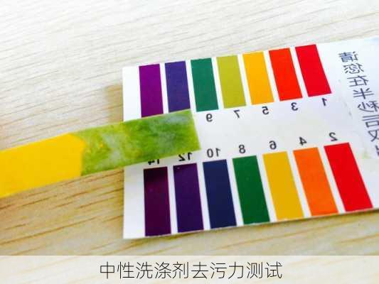 中性洗涤剂去污力测试