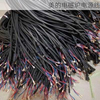 美的电磁炉电源线