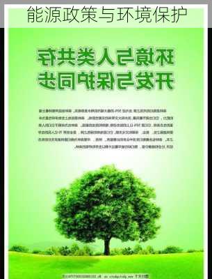 能源政策与环境保护