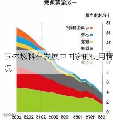 固体燃料在发展中国家的使用情况