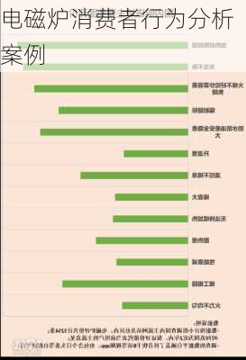 电磁炉消费者行为分析案例