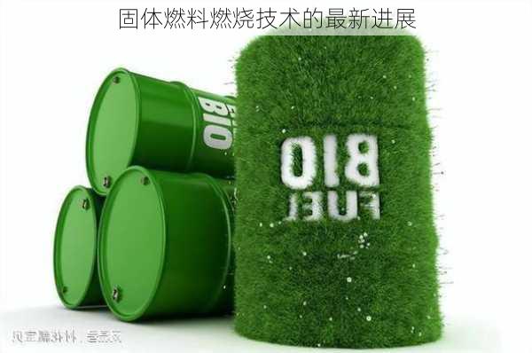 固体燃料燃烧技术的最新进展