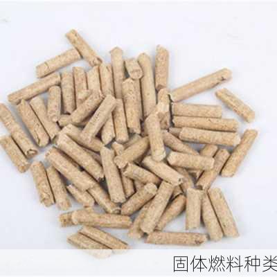 固体燃料种类