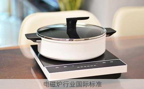 电磁炉行业国际标准