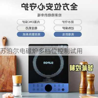 苏泊尔电磁炉多档位控制试用