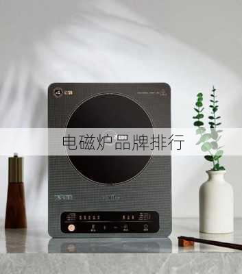电磁炉品牌排行