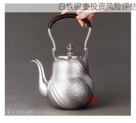 白族银壶投资风险评估