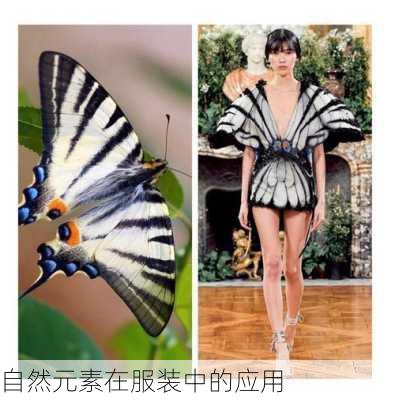 自然元素在服装中的应用