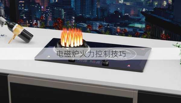 电磁炉火力控制技巧