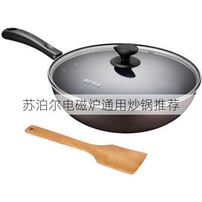 苏泊尔电磁炉通用炒锅推荐