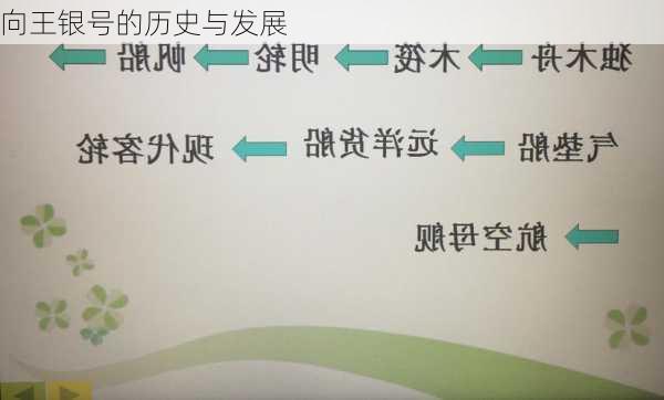 向王银号的历史与发展