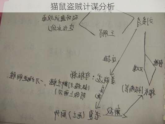 猫鼠盗贼计谋分析